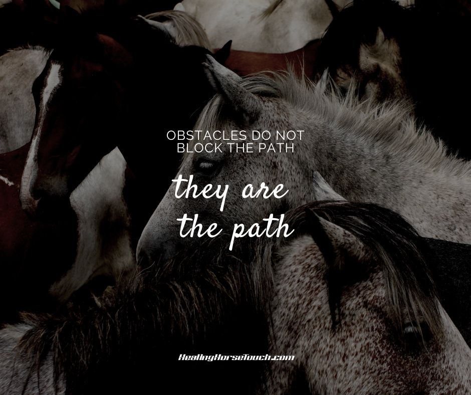 Obstacles do not block the path, they are the path.