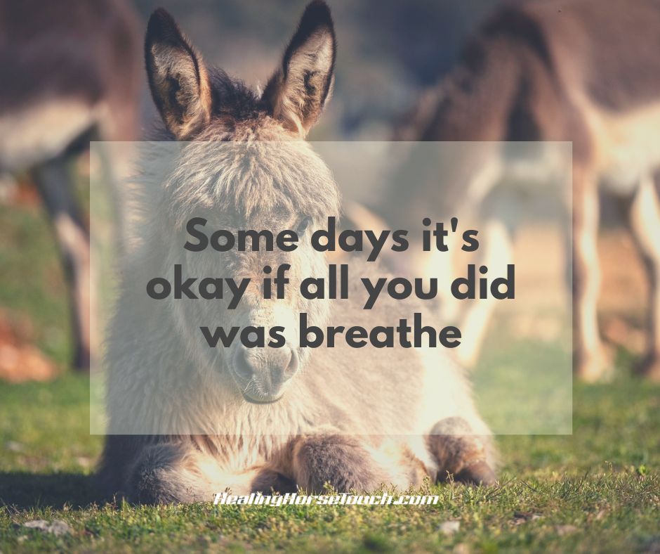 Some days it's okay if all you did was breathe.