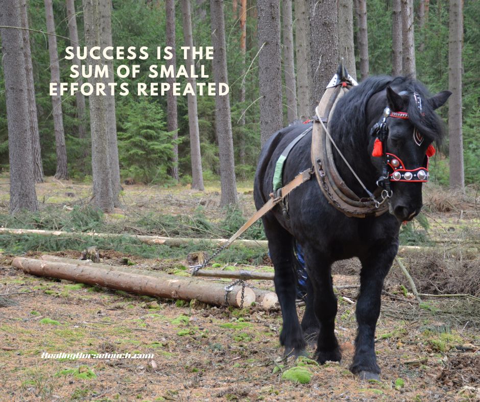 Success is the sum of small efforts repeated.