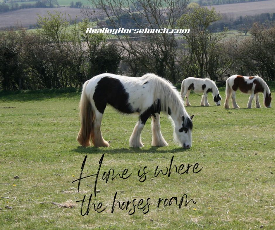Home is where the horses roam.