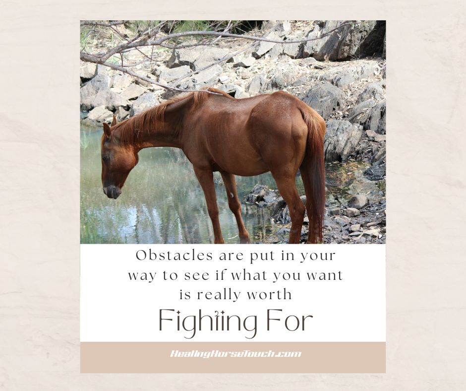 Obstacles are put in your way to see if what you want is really worth fighting for.