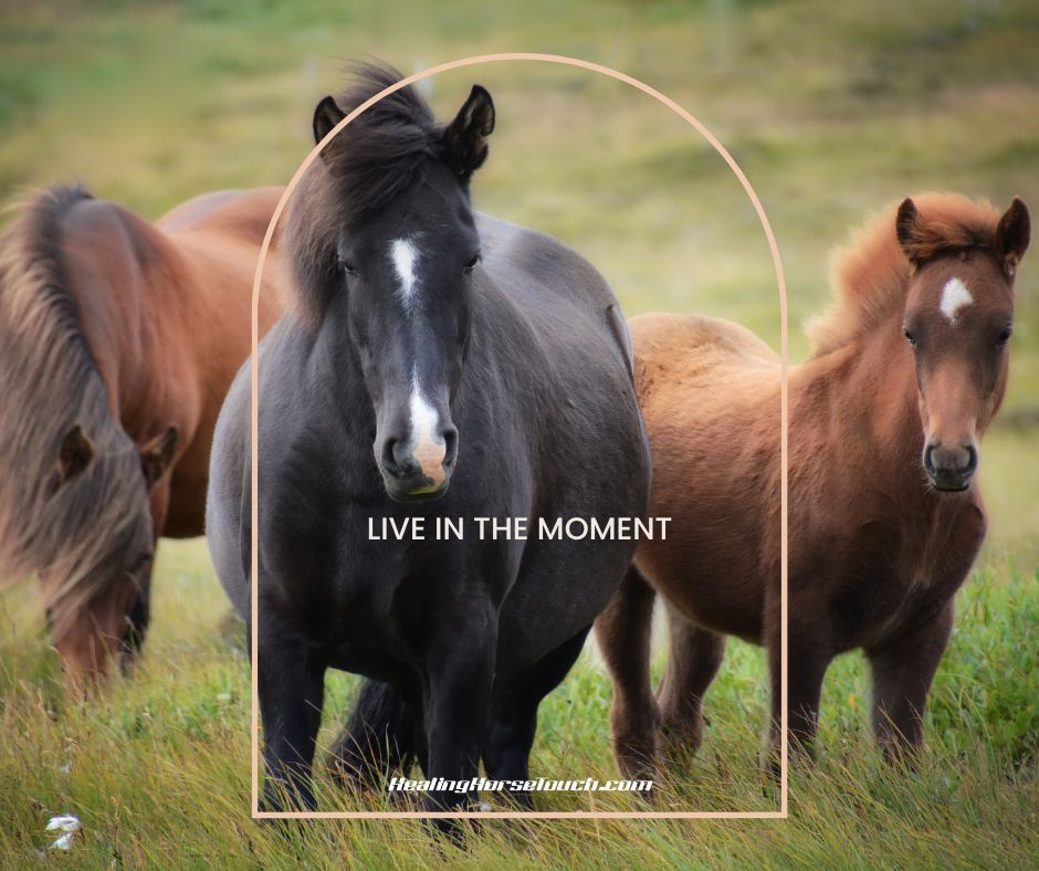 Live in the moment.