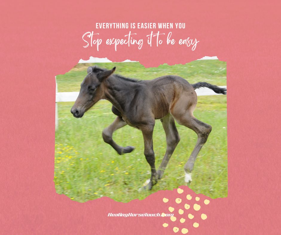 Everything is easier when you stop expecting it to be easy.