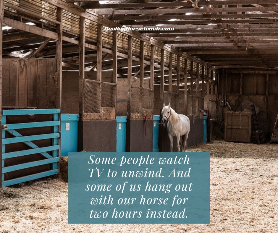 Some people watch TV to unwind. And some of us hang out with our horse for two hours instead.