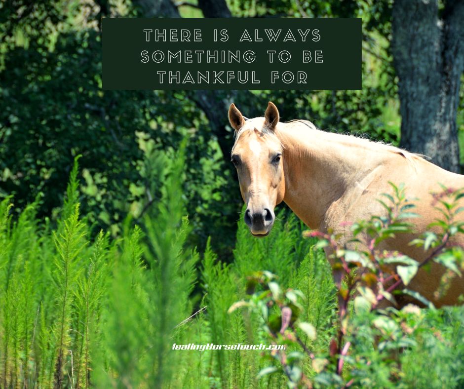 There is always something to be thankful for.