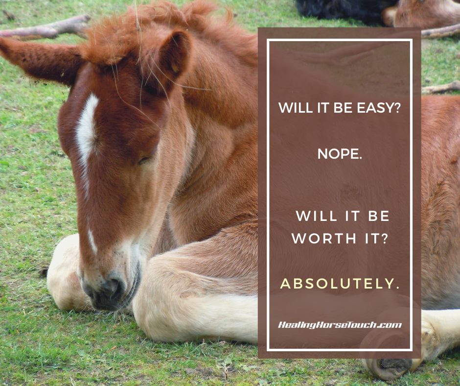 Will it be easy? Nope. Will it be worth it? Absolutely.