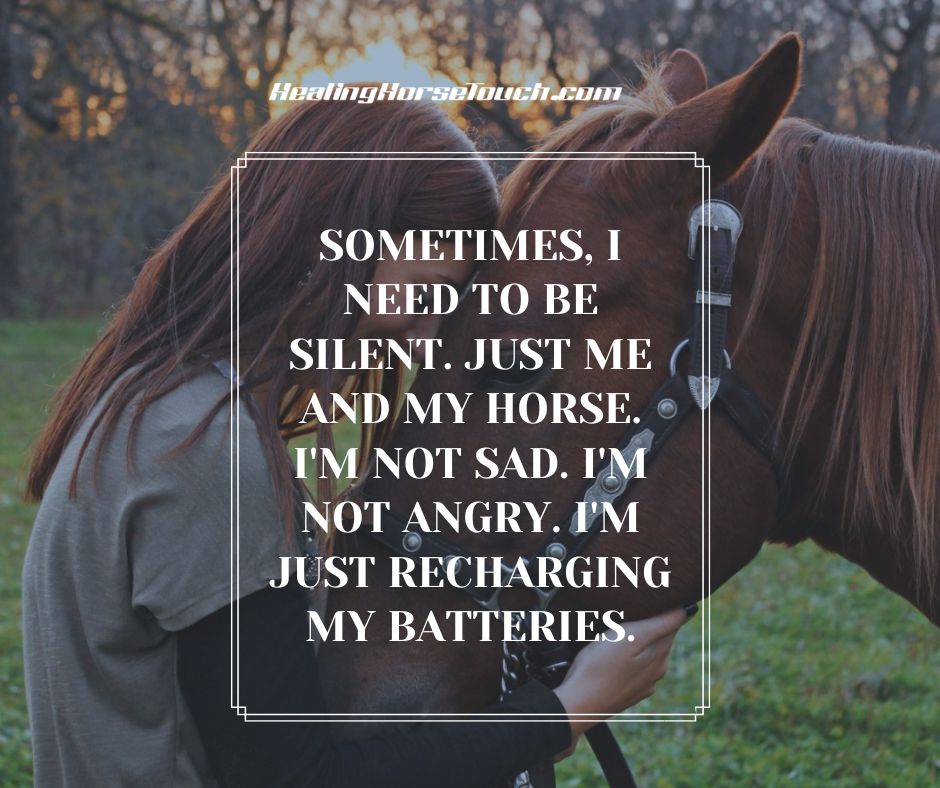 Sometimes, I need to be silent. Just me and my horse. I’m not sad. I’m not angry. I’m just recharging my batteries.