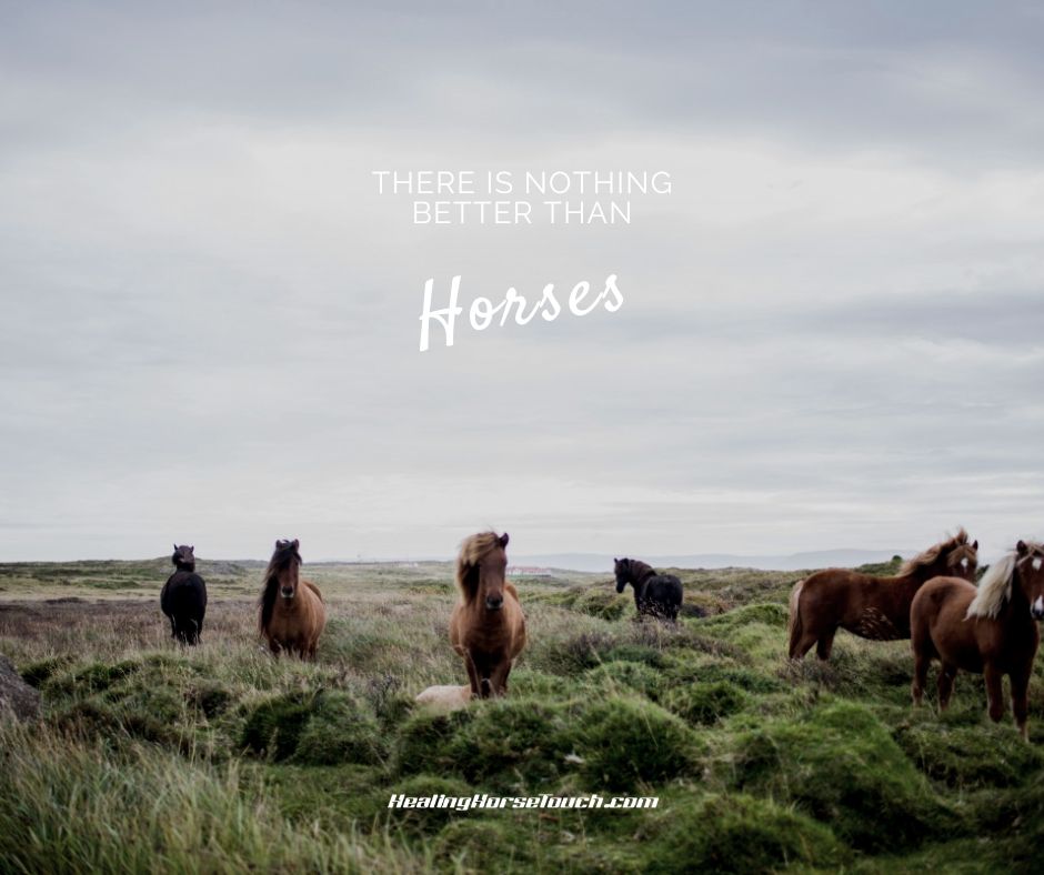 There is nothing better than horses.
