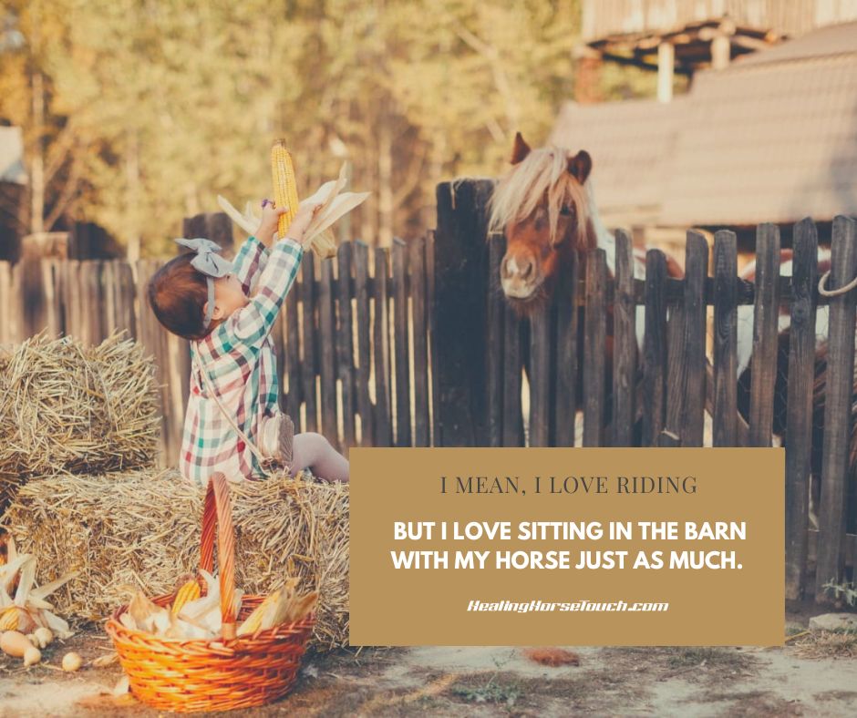 I mean, I love riding, but I love sitting in the barn with my horse just as much.