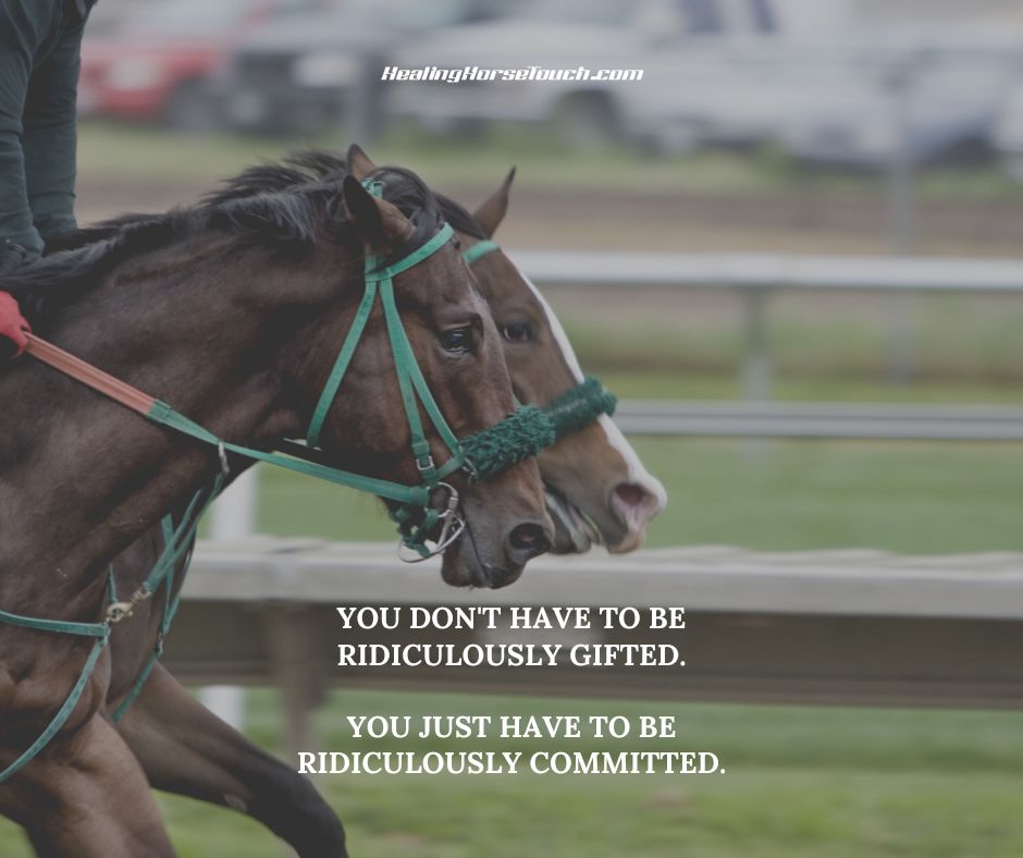 You don’t have to be ridiculously gifted. You just have to be ridiculously committed.